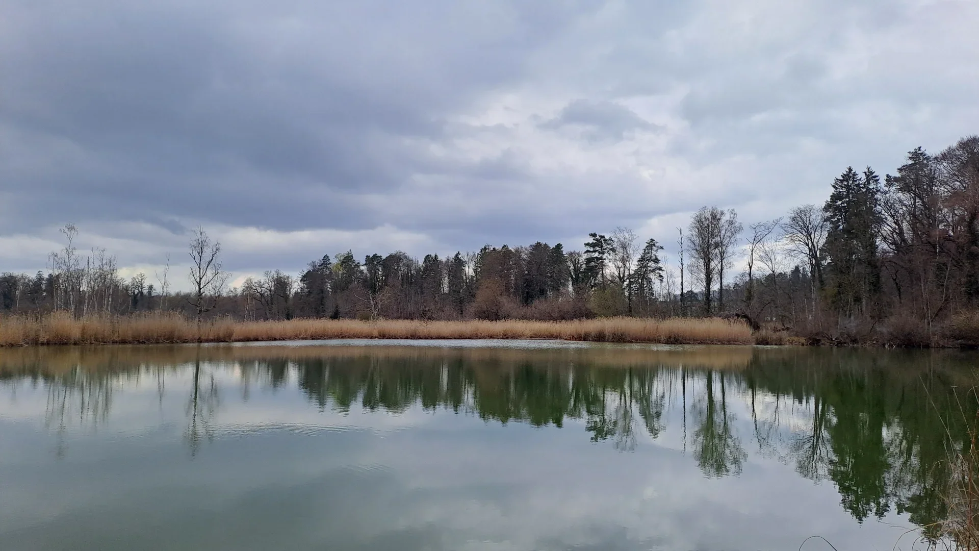 Abwechslung der Thur entlang