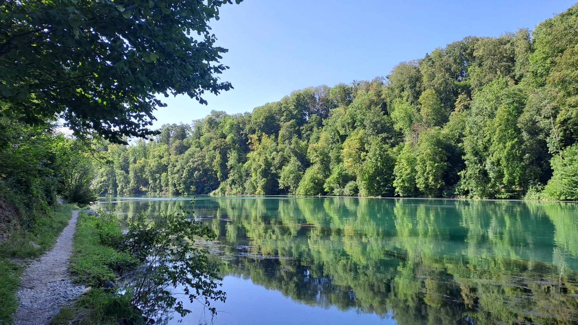 Dachsen - Marthalen