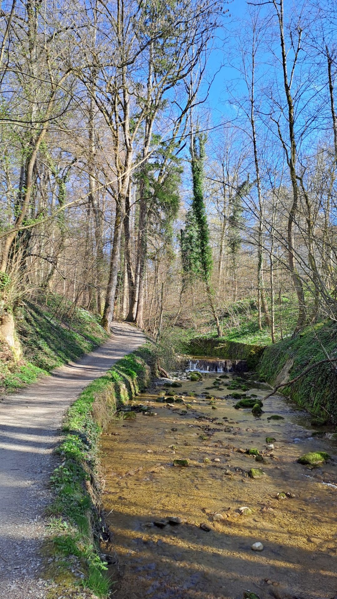 Durch das Sagentobel zum Adlisberg