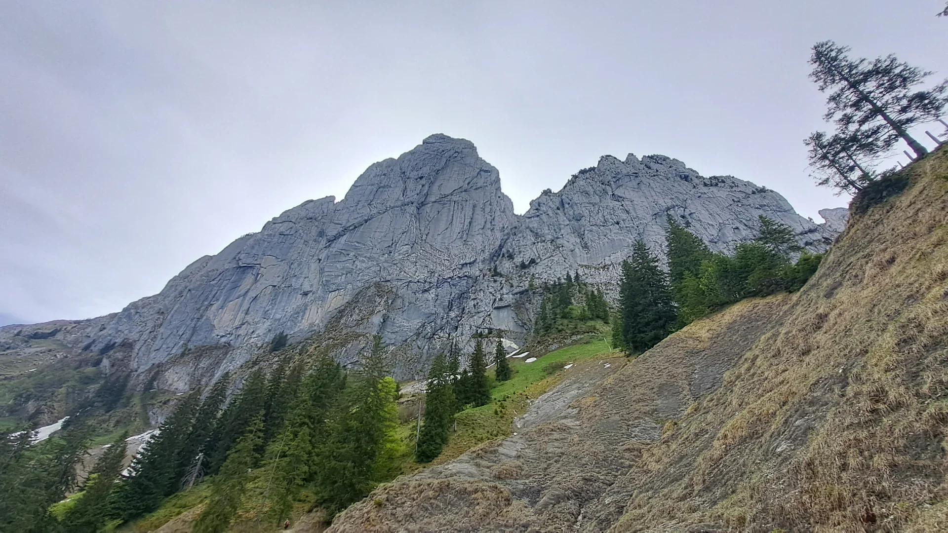 20260510_103521.webp