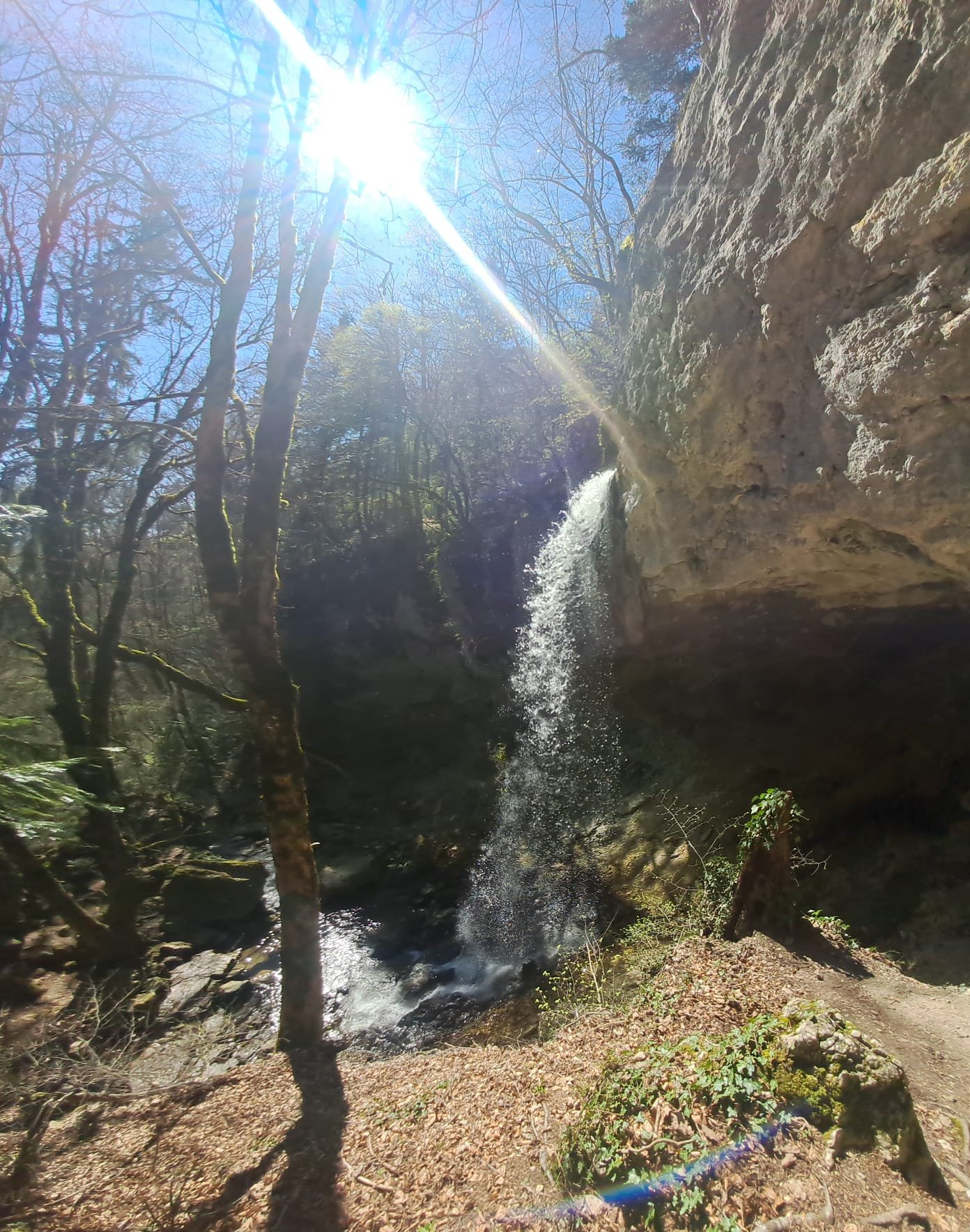 WhatsApp Image 2026-04-17 at 22.32.47 (1).jpeg