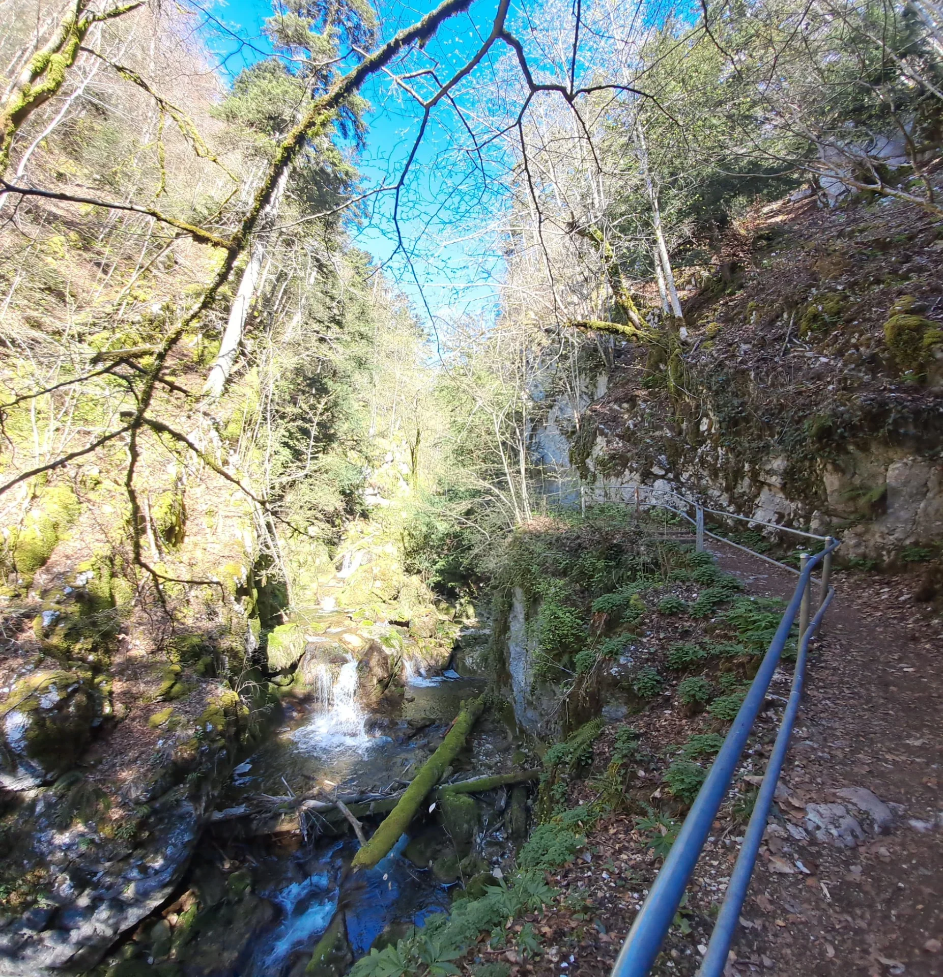 WhatsApp Image 2026-04-17 at 22.32.48.webp