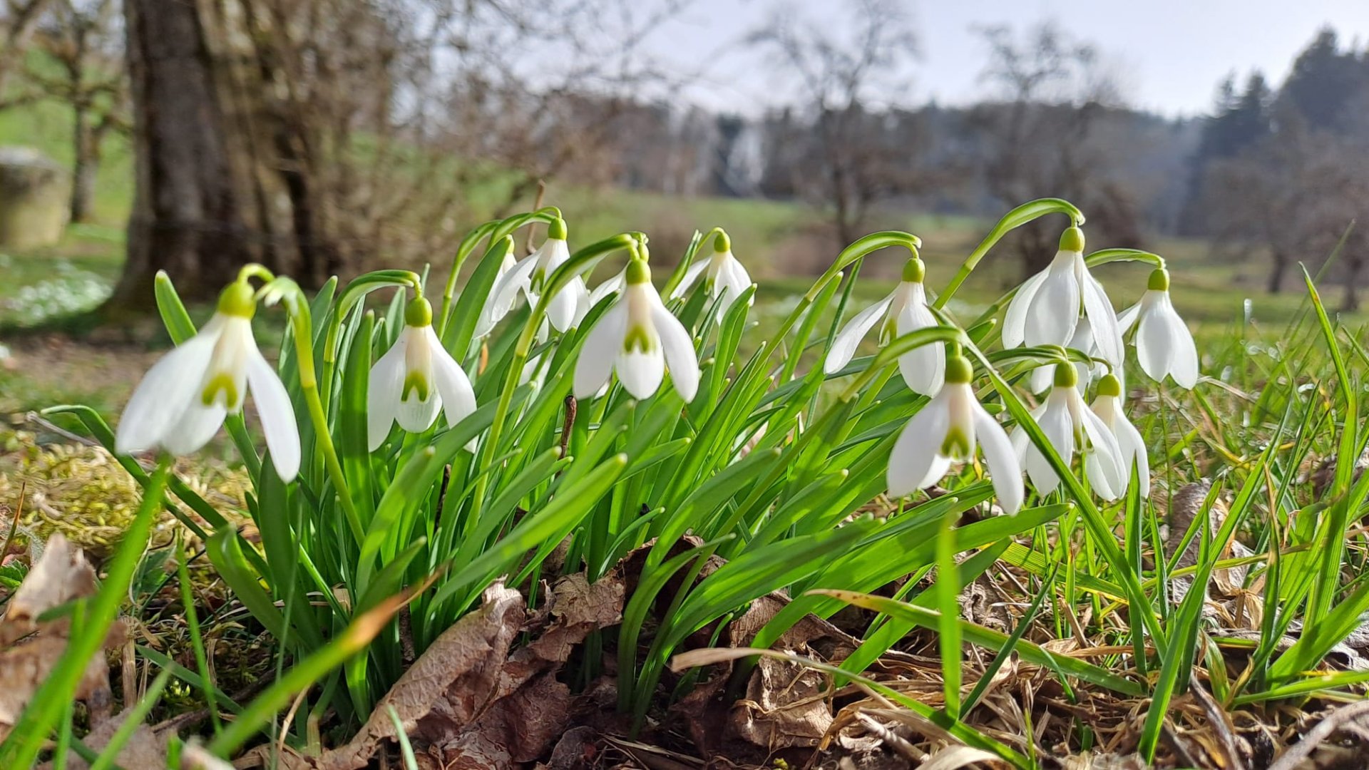 Wanderung durch das Farenbachtobel