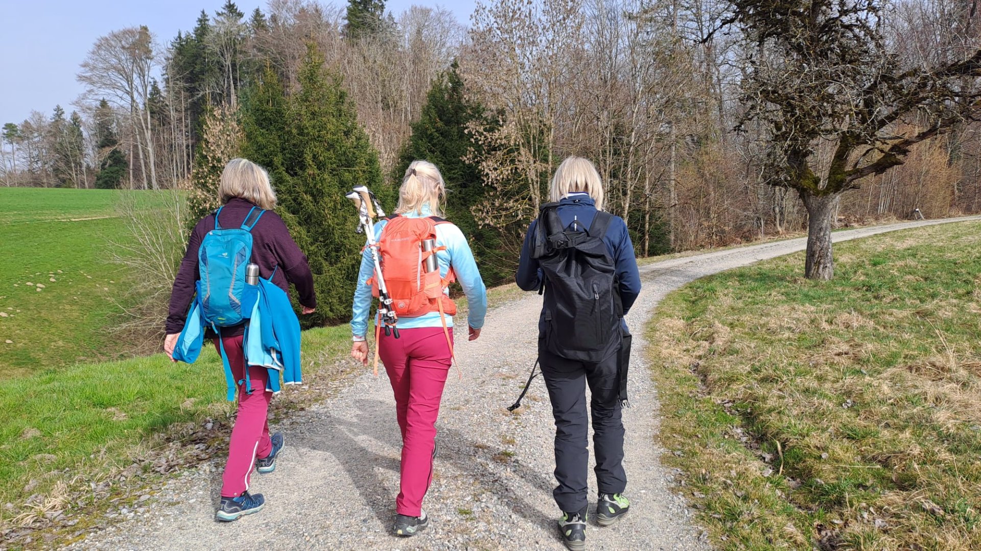 Elgg Bichelsee (13).jpeg