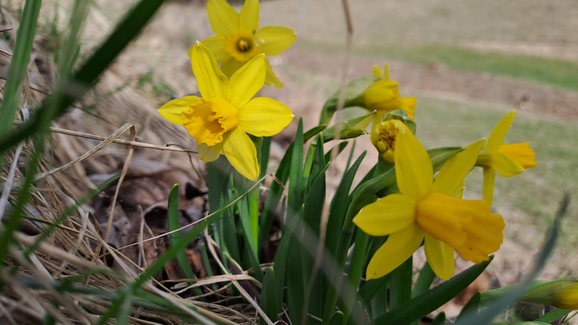 Elgg Bichelsee (17).jpeg