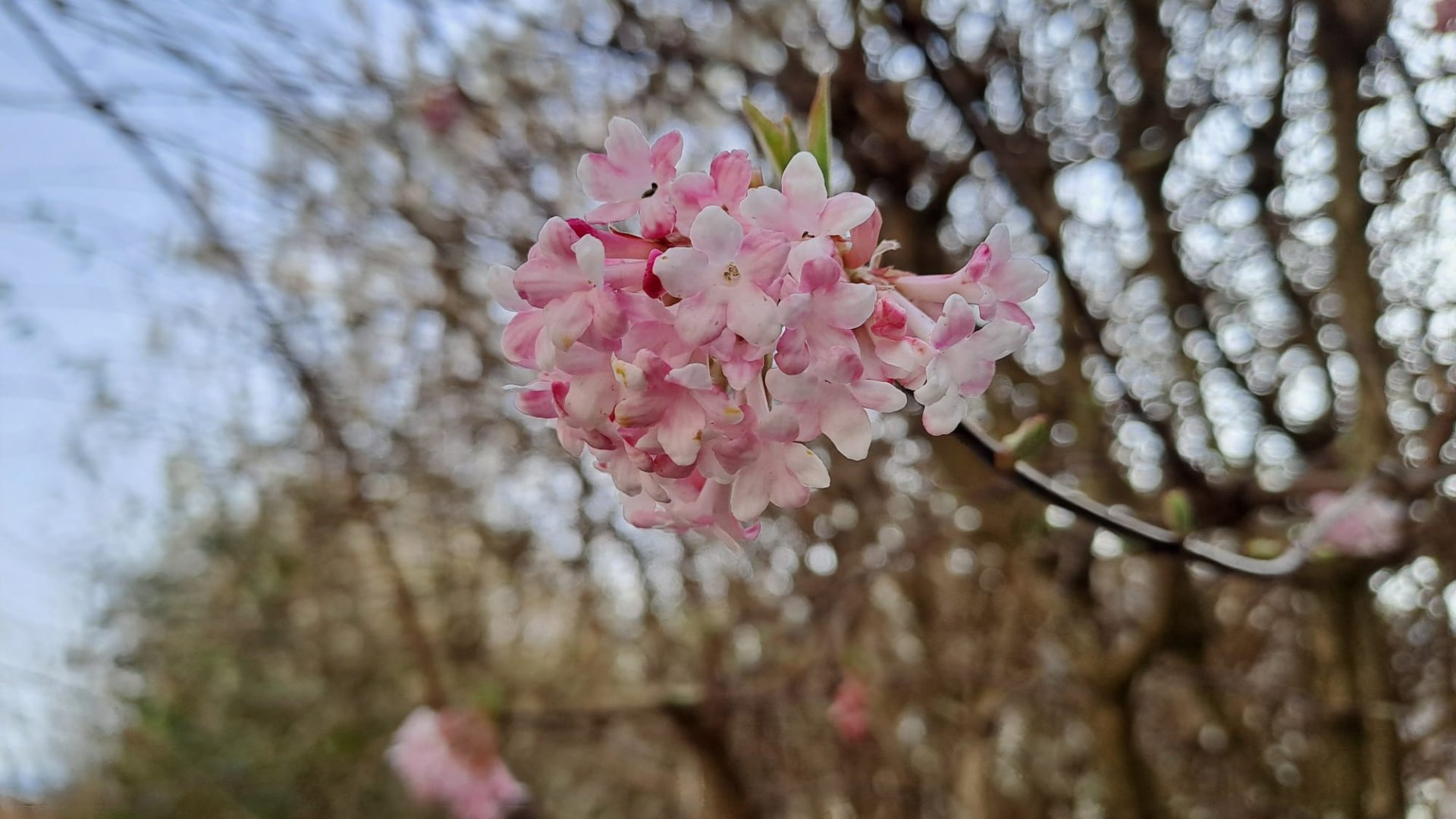 Elgg Bichelsee (22).jpeg