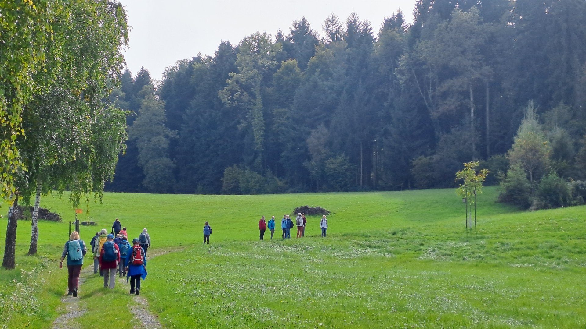 Wanderung zur hohen Buche