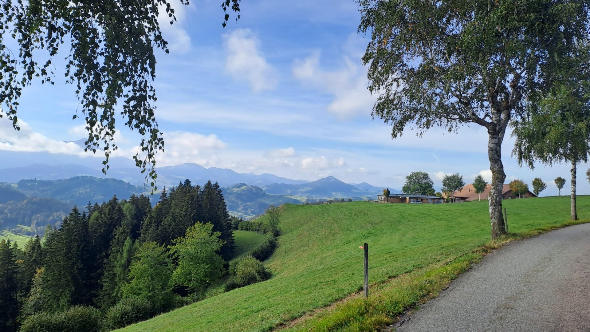 Wanderung zur hohen Buche
